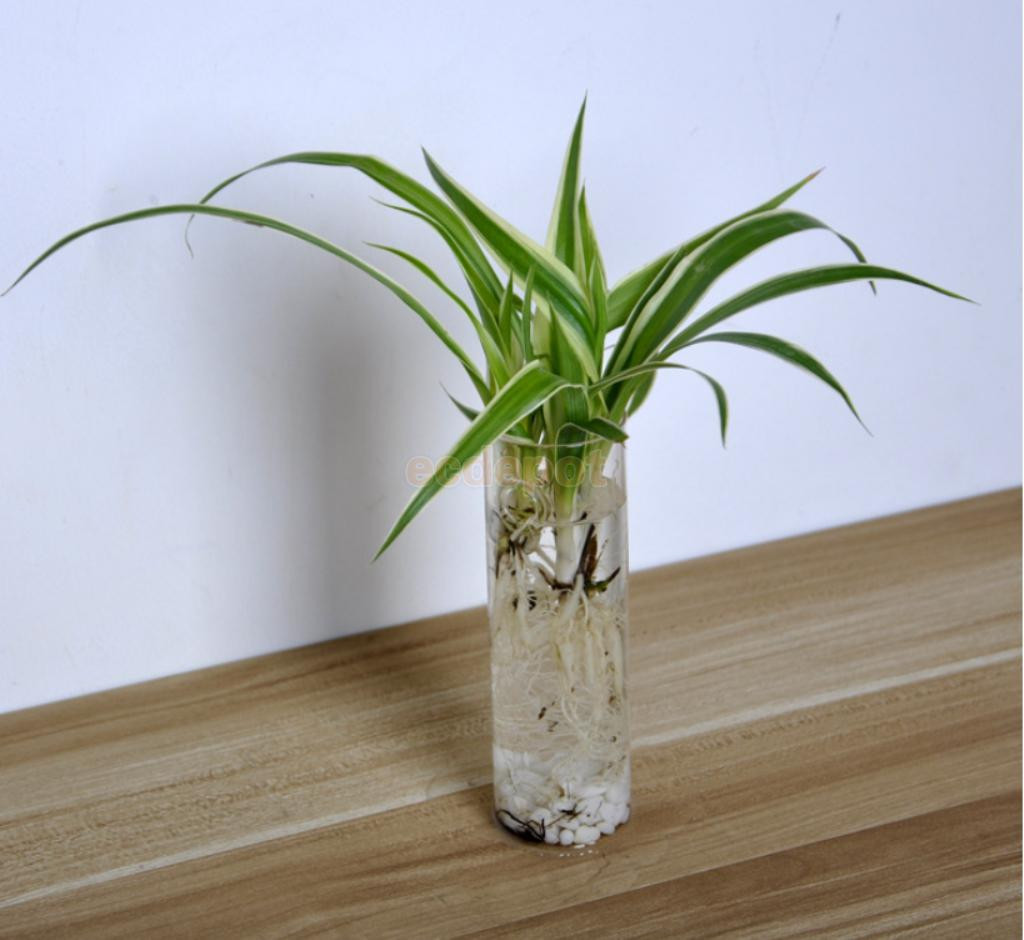 18 Best Japanese Glass Vase 2024 free download japanese glass vase of 3 pieces cylinder wall hanging glass vase plants flowers hydroponic intended for 3 pieces cylinder wall hanging glass vase plants flowers hydroponic bottle fish tank h