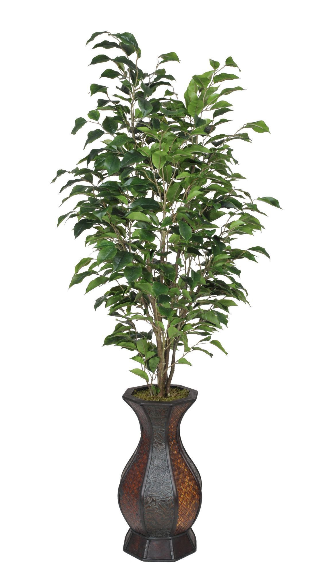 25 Unique Lacquer 36 Inch Tall Vase with Branches 2024 free download lacquer 36 inch tall vase with branches of 33 wayfair floor vases the weekly world inside house of silk flowers artificial ficus tree in decorative vase i