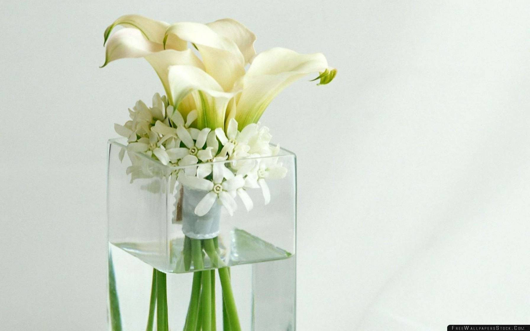 20 Amazing Large Glass Flower Vase 2024 free download large glass flower vase of 10 flower pot ideas favorite for elegant room splusna com page throughout tall vase centerpiece ideas vases flowers in water 0d artificial inspiration glass vase c