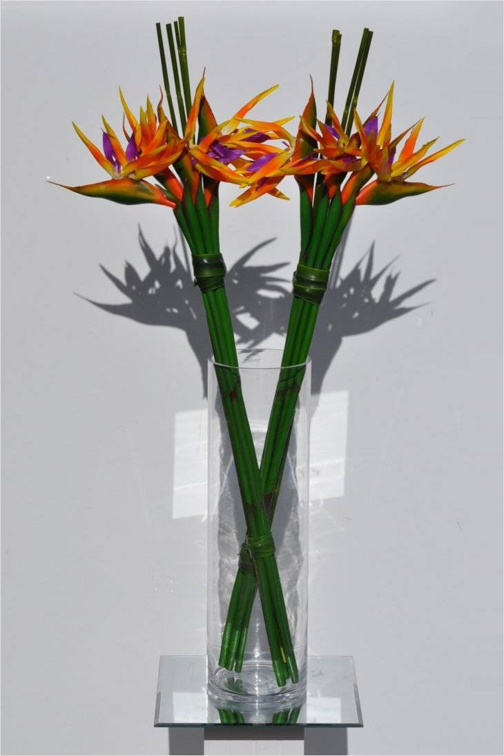 20 Amazing Large Glass Flower Vase 2024 free download large glass flower vase of famous inspiration on flower arrangements in tall glass vases for for fresh inspiration on flower arrangements in tall glass vases for deco