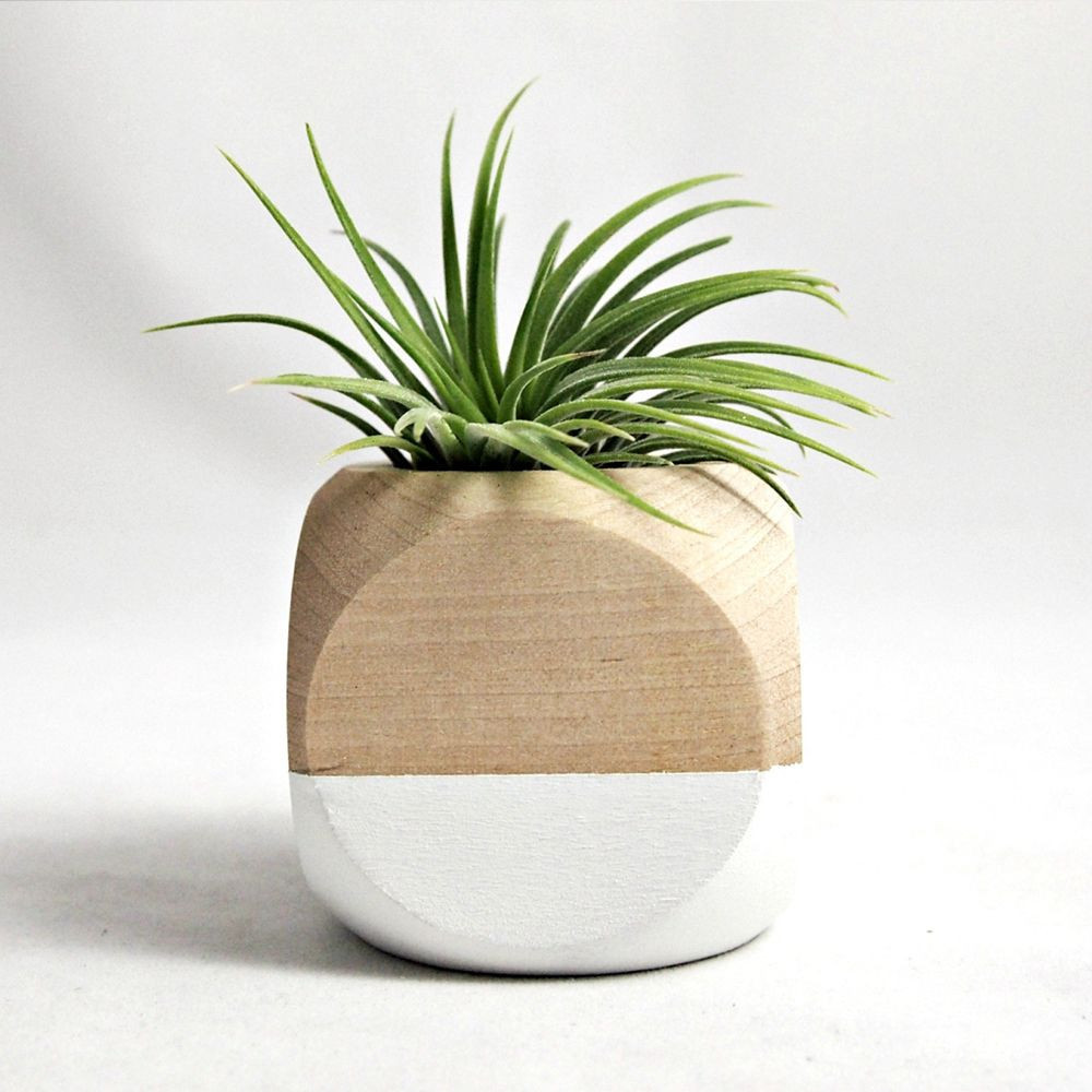 27 Awesome Large Mango Wood Vase 2024 free download large mango wood vase of photograph of small wooden vase vases artificial plants collection intended for small wooden vase collection cube planter in white home decor pinterest of photograph
