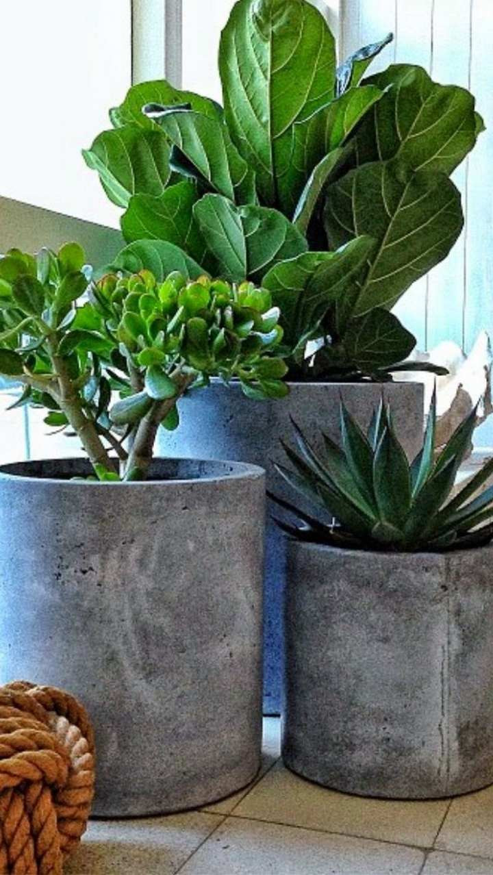 10 Elegant Large Outdoor Vases wholesale 2024 free download large outdoor vases wholesale of large outdoor planters for trees lovely how to makeover your front pertaining to large outdoor planters for trees inspirational how to make your own concrete