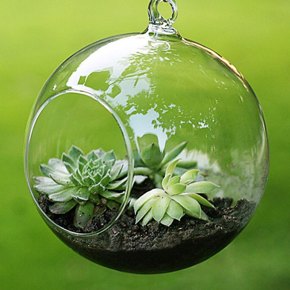 28 Awesome Large Round Clear Glass Vase 2023 free download large round clear glass vase of fashion transparent clear glass round terrarium flower plant stand for fashion transparent clear glass round terrarium flower plant stand hanging vase hydropo