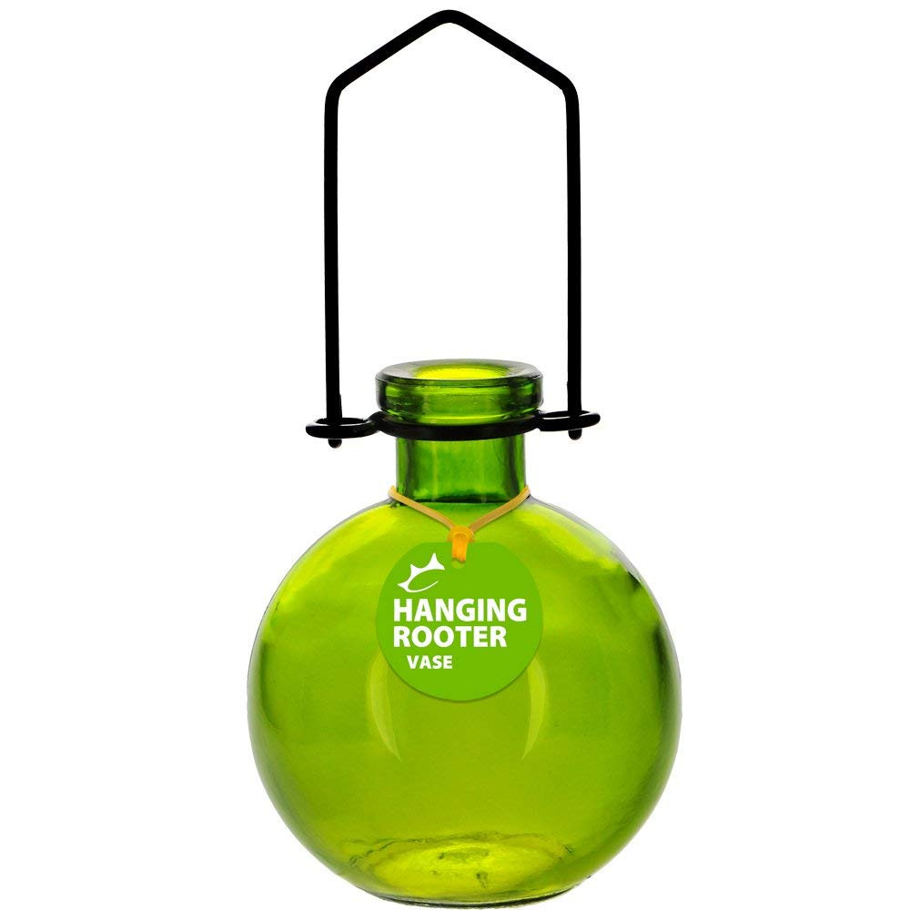 23 Famous Large Teardrop Glass Vase 2024 free download large teardrop glass vase of amazon com couronne company m370 6544g01 hanging ball recycled in amazon com couronne company m370 6544g01 hanging ball recycled glass rooting vase 7 lime 1 piec
