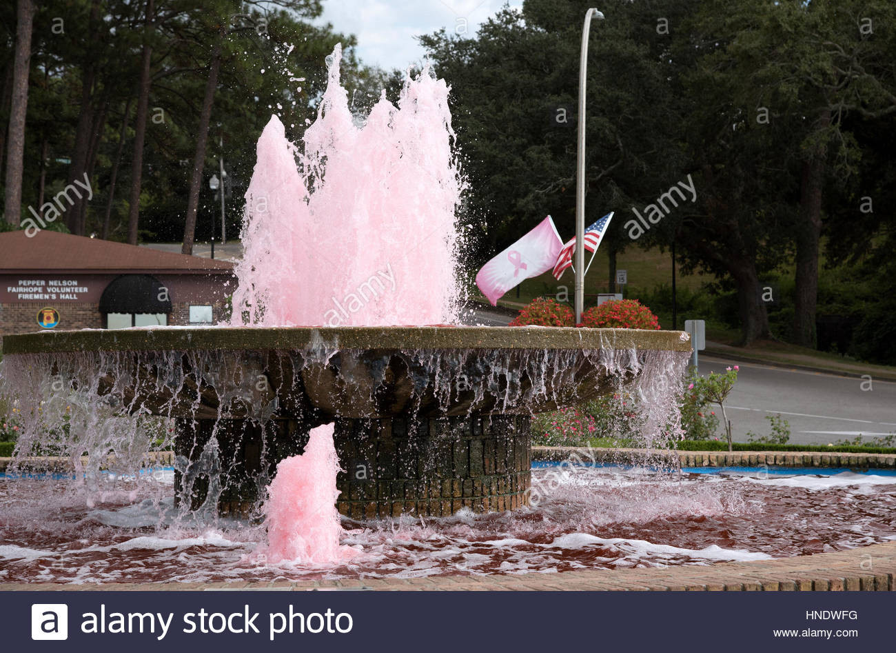 14 Spectacular Large Vase Water Feature 2024 free download large vase water feature of fresh indoor bamboo fountain home fountains ideas intended for fairhope pier fountain with pink colored water in support of cancer regarding indoor bamboo fountai
