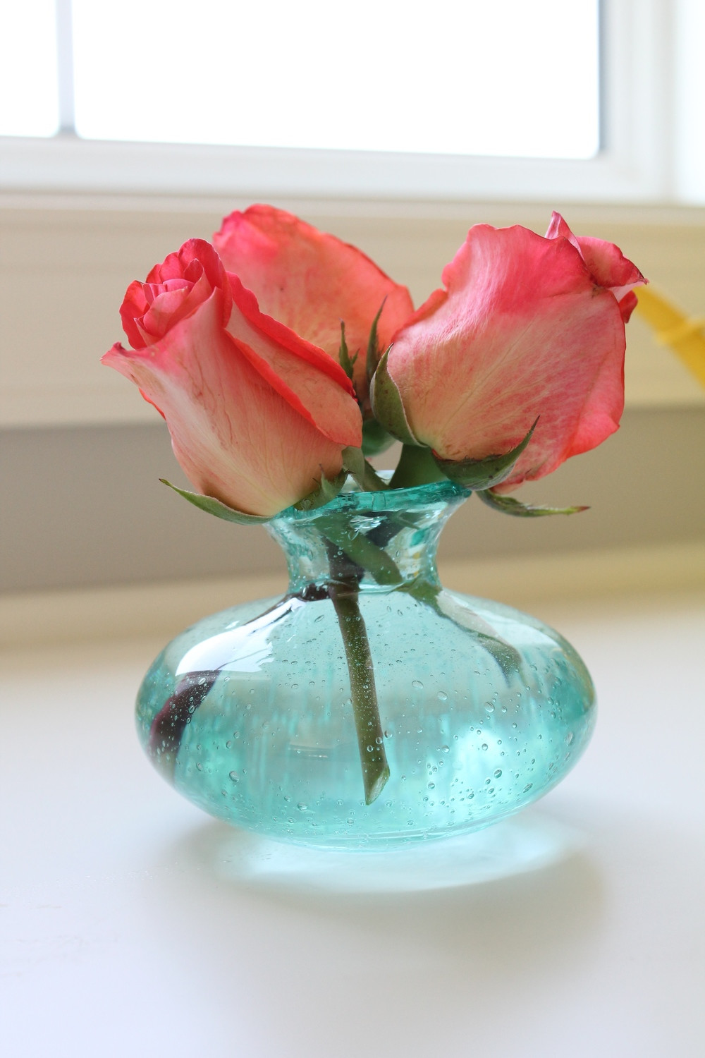 27 Amazing Lenox Small Bud Vase 2024 free download lenox small bud vase of blooming bud vase i love these for all of the single flowers and intended for i like to sprinkle them throughout my home placing one or two blooms in each vase that w