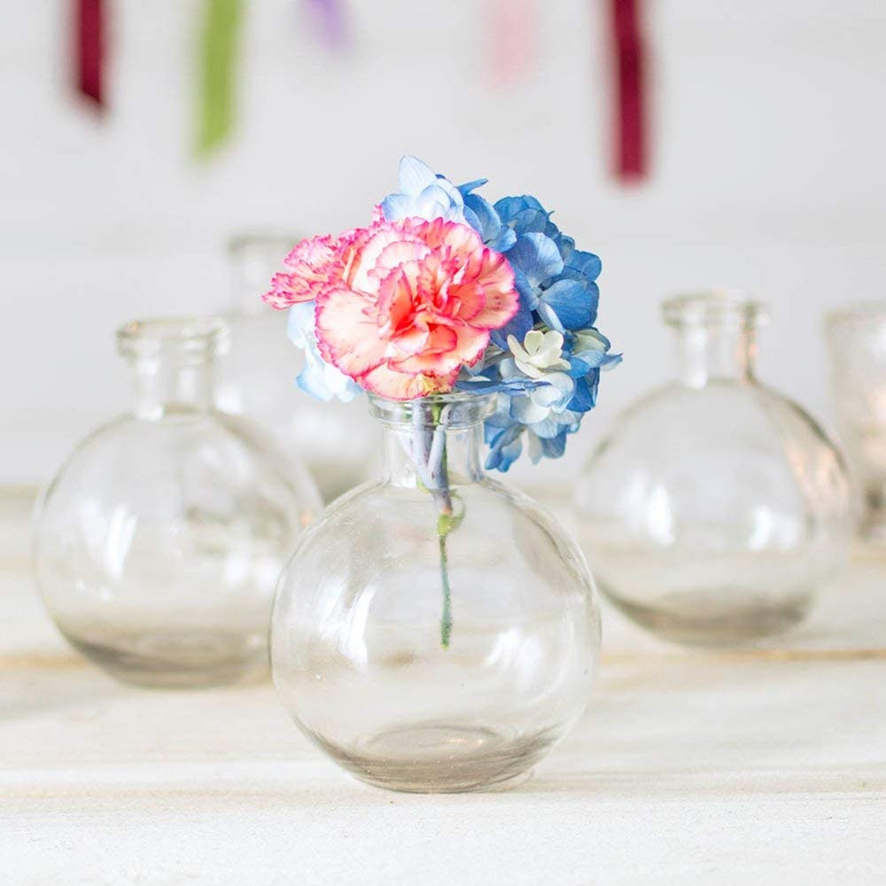 24 Best Libbey Clear Cylinder Bud Vase 2024 free download libbey clear cylinder bud vase of amazon com glass bud vase ball bottle 3 5 in round x 4 25 in for amazon com glass bud vase ball bottle 3 5 in round x 4 25 in clear 12 pack glass bud vase b