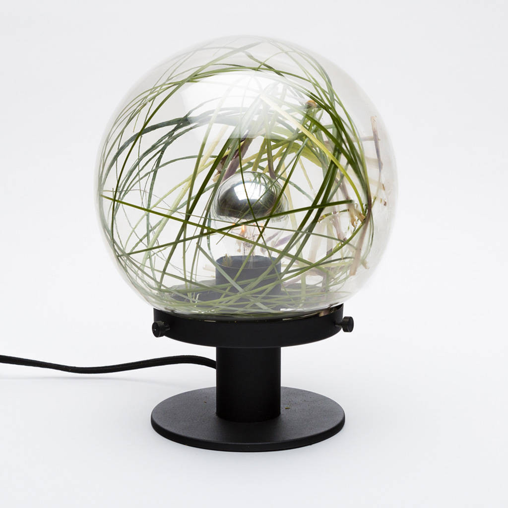 10 Perfect Lifestyle Puzzle Vase 2024 free download lifestyle puzzle vase of ecosphere living lamp by the urban botanist notonthehighstreet com for ecosphere living lamp