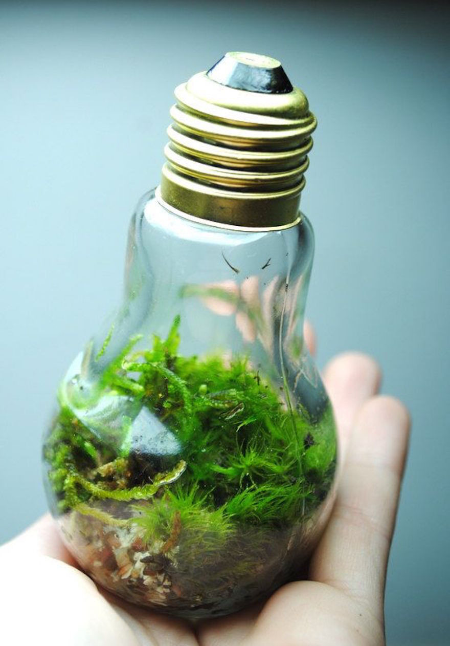 26 Great Light Bulb Vase Diy 2024 free download light bulb vase diy of 19 awesome diy ideas for recycling old light bulbs bored panda with 6 little ecosystem