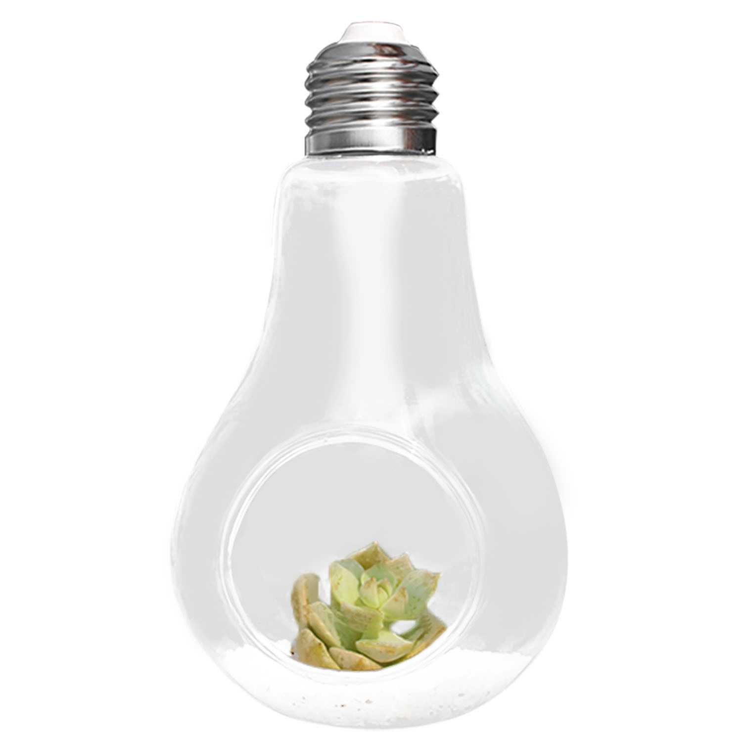 24 Stylish Light Bulb Vase 2024 free download light bulb vase of behogar 2017 new glass bulb lamp shape flower water plant hanging within payment