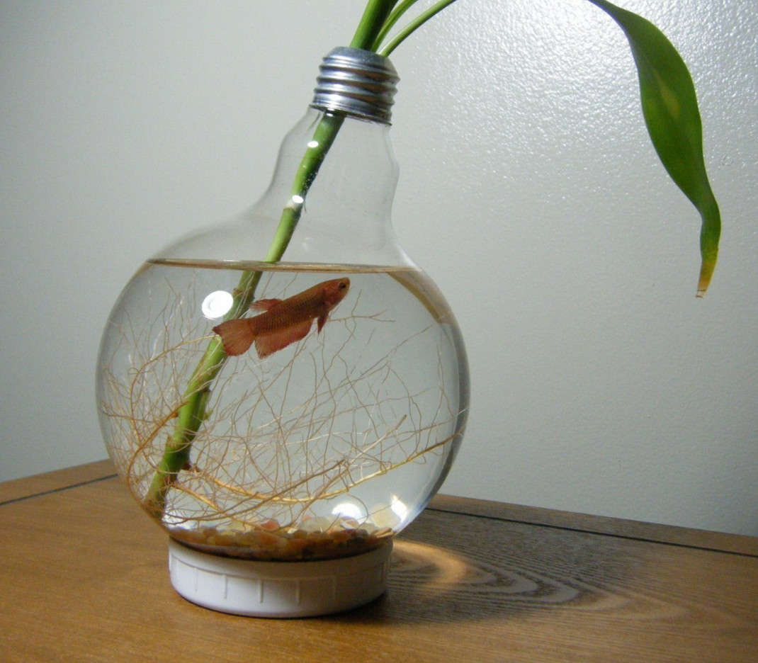 24 Stylish Light Bulb Vase 2024 free download light bulb vase of clear fish bowl pictures fish light bulb bowl for the home pinterest pertaining to clear fish bowl pictures fish light bulb bowl for the home pinterest