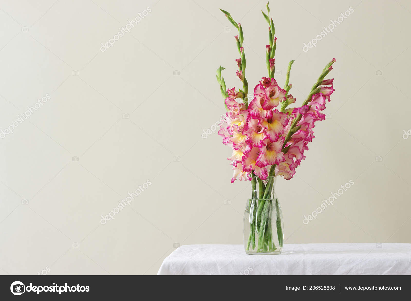 27 Trendy Light Pink Glass Vase 2024 free download light pink glass vase of bouquet multicolored gladioli glass vase light background greeting within a bouquet of multicolored gladioli in a glass vase on a light background greeting card sele