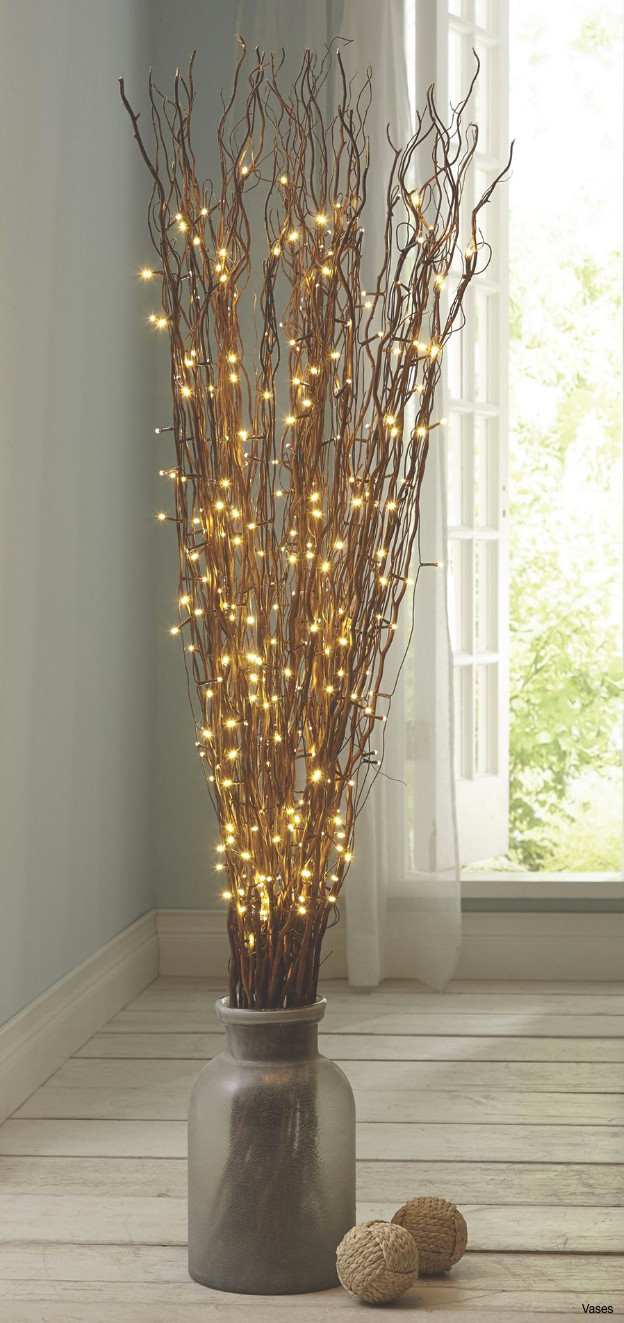 21 Stylish Light Up Branches for Vase 2024 free download light up branches for vase of branches for vases photos luxury tree branch light awesome birch in branches for vases photos luxury tree branch light awesome birch branches home designs