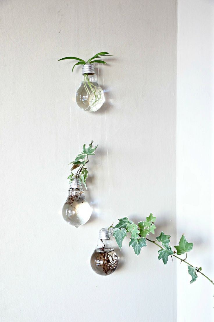 Lightbulb Bud Vase Of 34 Best Fused Bulbs arent Boring Images On Pinterest Throughout I Have Always Wanted to Try these Light Bulb Planters Ever since I Saw One