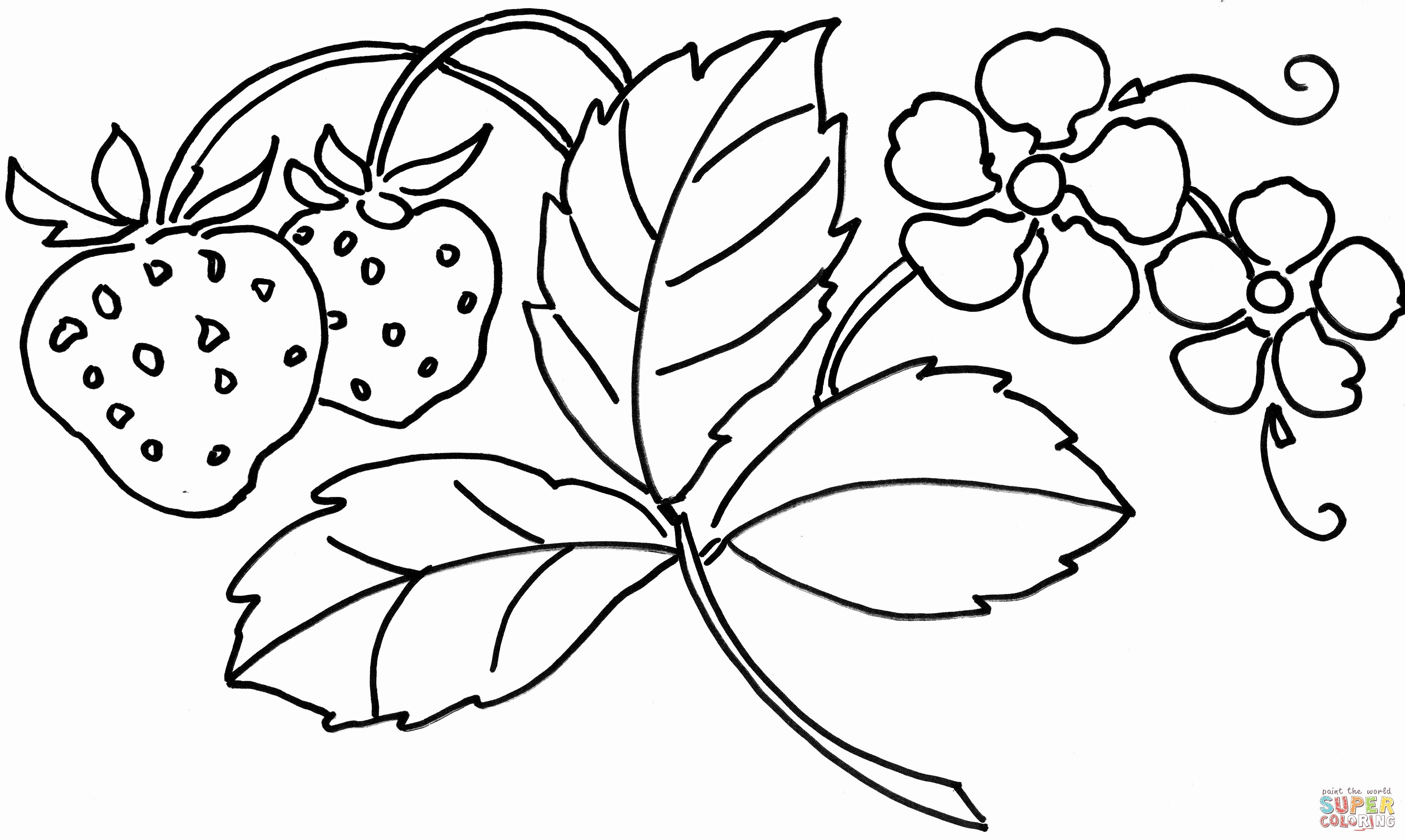 22 Unique Lily Flower In Vase 2024 free download lily flower in vase of new coloring pages flowers awesome vases flower vase coloring page within new coloring pages flowers awesome vases flower vase coloring page pages