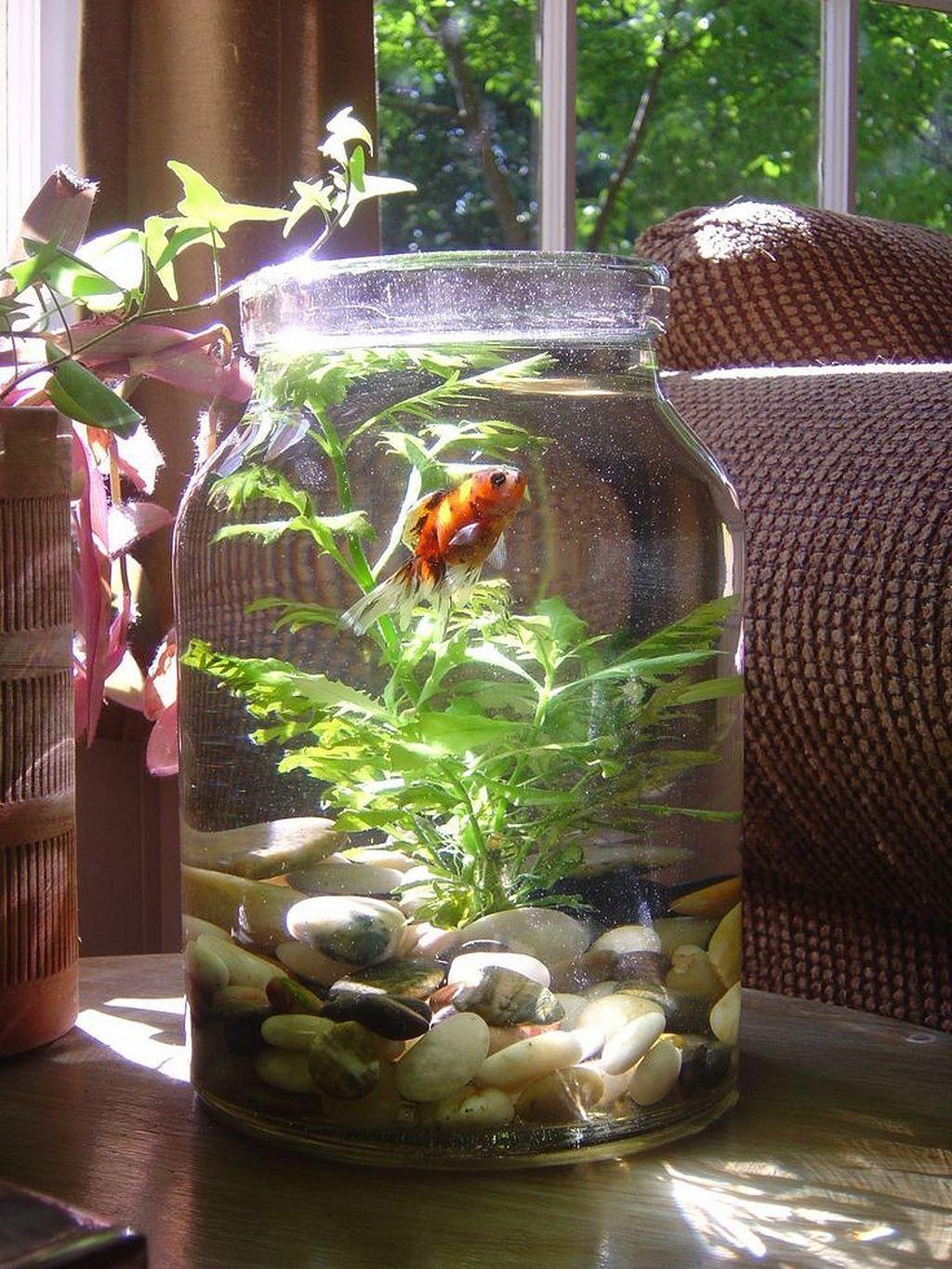 live plants for betta fish vase of gorgeous 30 awesome fish tank ideas https gardenmagz com 30 in gorgeous 30 awesome fish tank ideas https gardenmagz com 30