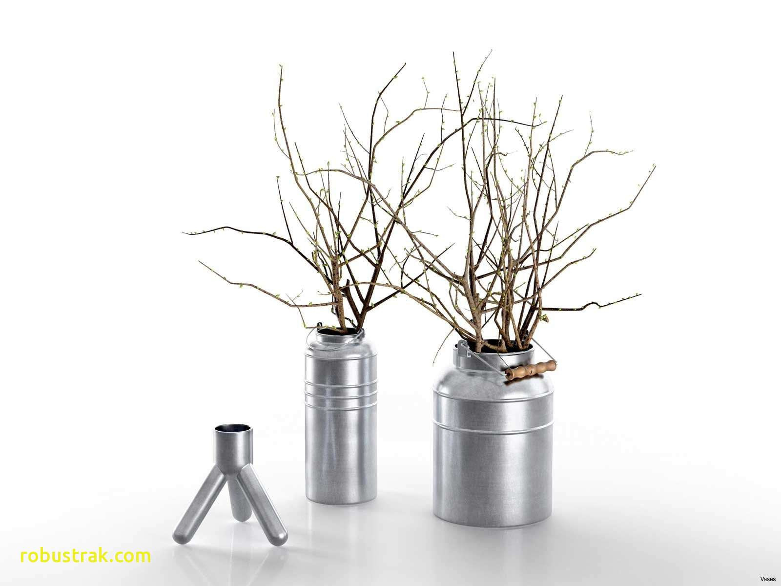 27 Lovable Long Branches for Vases 2024 free download long branches for vases of decorative sticks for vase best of grey and white wedding decor best intended for decorative sticks for vase inspirational new branches in vase as decoration of de