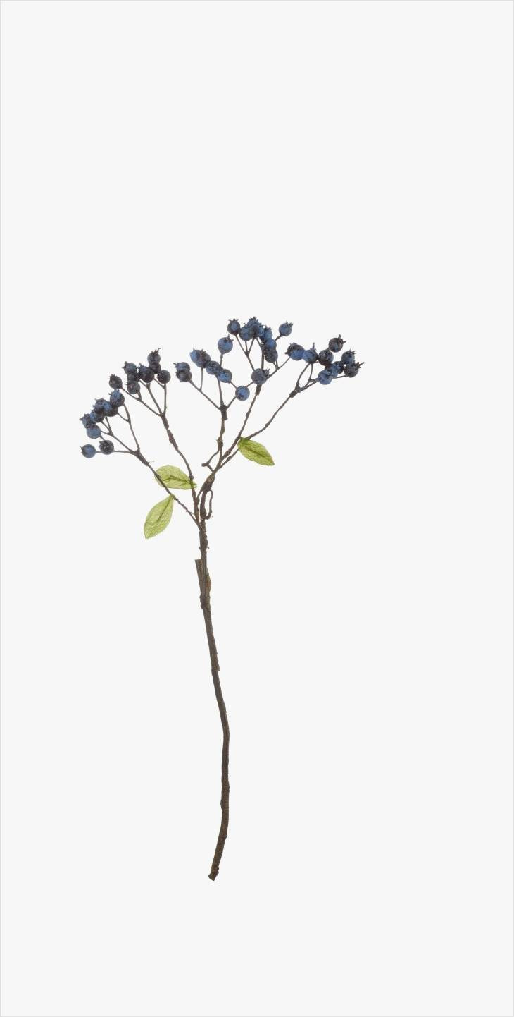 27 Lovable Long Branches for Vases 2024 free download long branches for vases of fresh ideas on branches for vases for use architectural home plans in blueberry twig decoration branches decoration products