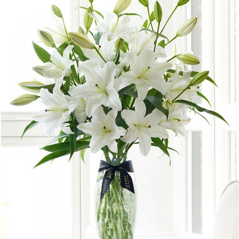 12 Nice Long Flower Vase Online 2024 free download long flower vase online of bouquet de lys buffet arranjos e enfeites pinterest flowers with regard to bouquet de lys buffet