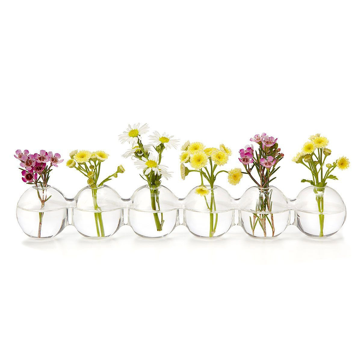 11 Amazing Low Rectangular Vase 2024 free download low rectangular vase of caterpillar bud vase bulbs display and glass intended for this bud vase with a row of attached glass bulbs allows you to create elegant floral displays