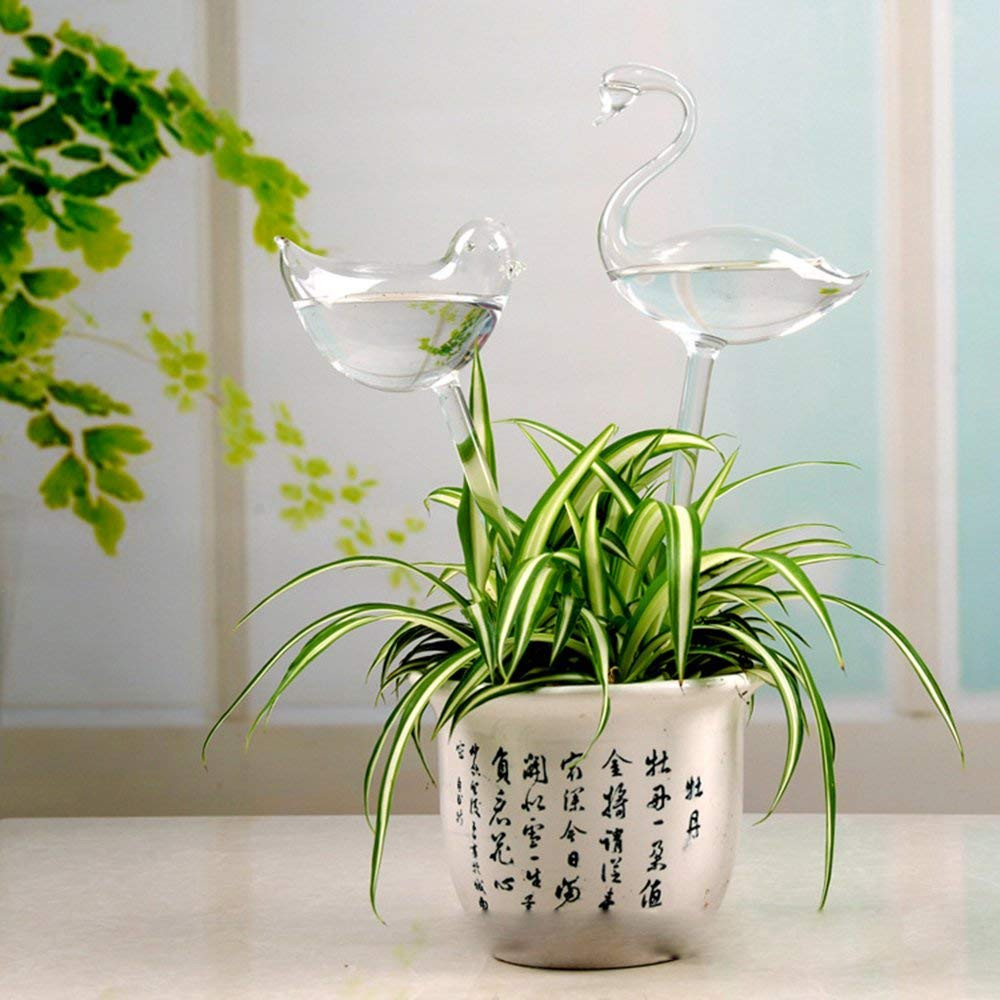 25 Perfect Lucky Bamboo Glass Vase 2024 free download lucky bamboo glass vase of amazon com automatic potted waterer self plant watering bird glass intended for amazon com automatic potted waterer self plant watering bird glass drip auto feeder
