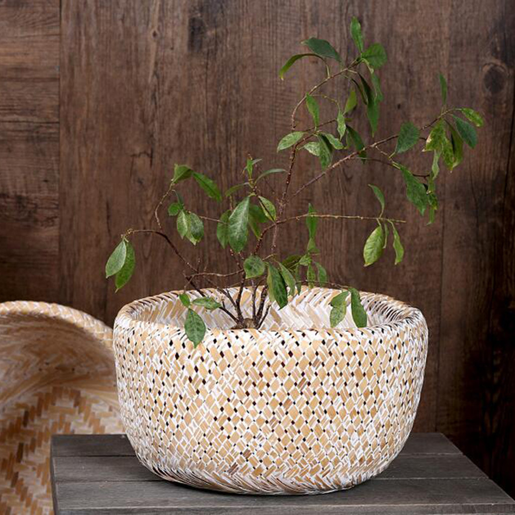 17 Stylish Lucky Bamboo Vase 2024 free download lucky bamboo vase of bamboo weaving flower basket round storage baskets for living room pertaining to bamboo weaving flower basket round storage baskets for living room white s in storage ba
