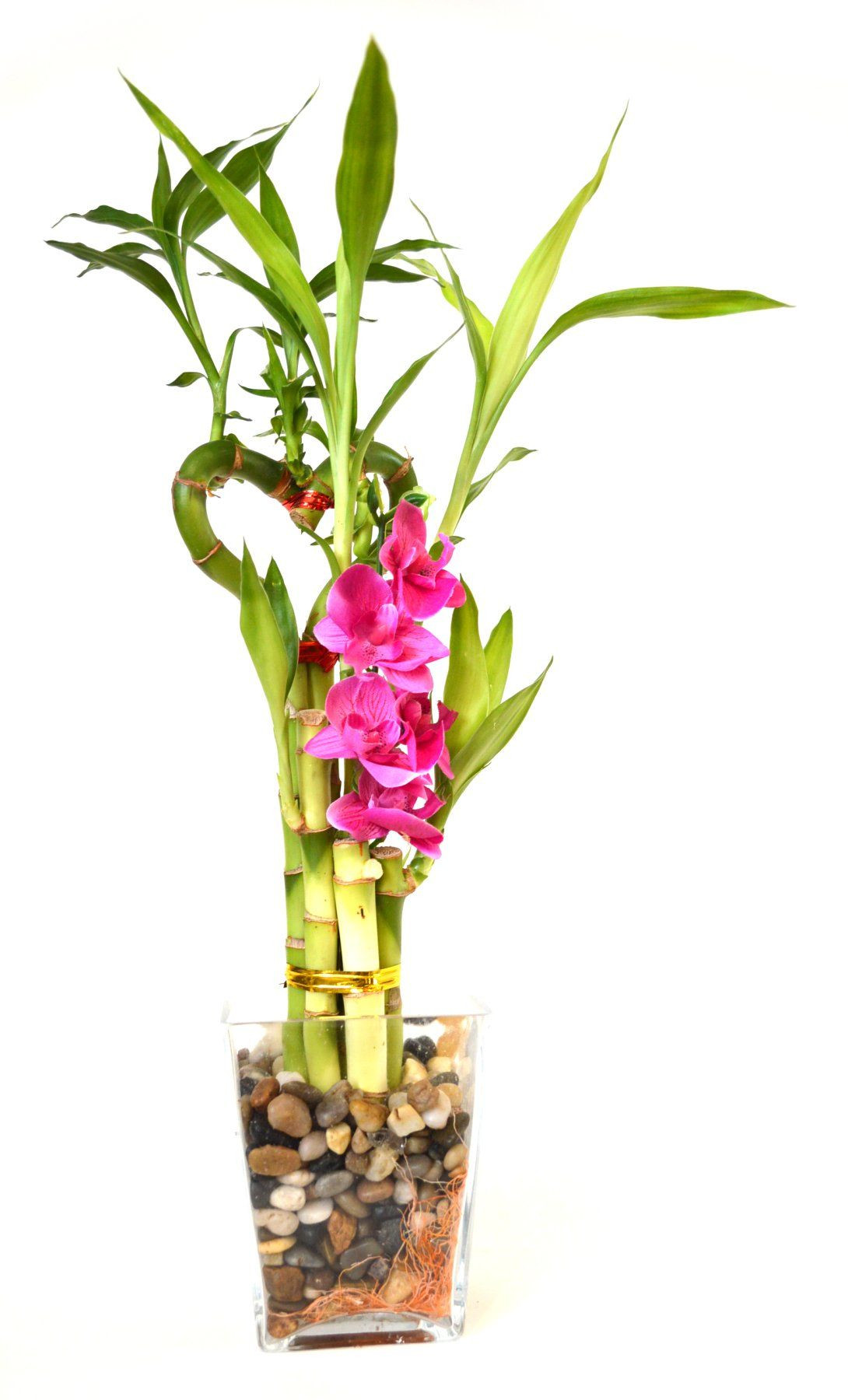 25 Fantastic Lucky Bamboo Vases Pots 2024 free download lucky bamboo vases pots of 9greenbox lucky bamboo heart style with silk flowers and glass within 9greenbox lucky bamboo heart style with silk flowers and glass vase and pebbles