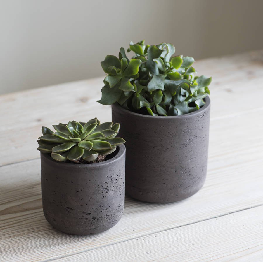25 Fantastic Lucky Bamboo Vases Pots 2024 free download lucky bamboo vases pots of cement plant pot set of two by idyll home notonthehighstreet com regarding cocoa plant pot
