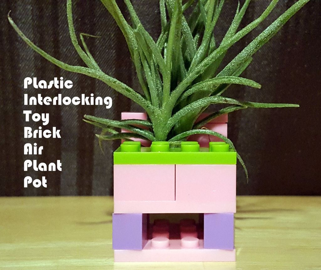 Lucky Bamboo Vases Pots Of Plastic Interlocking toy Brick Air Plant Pot or Pitbapp for Short In Picture Of Plastic Interlocking toy Brick Air Plant Pot or Pitbapp for Short