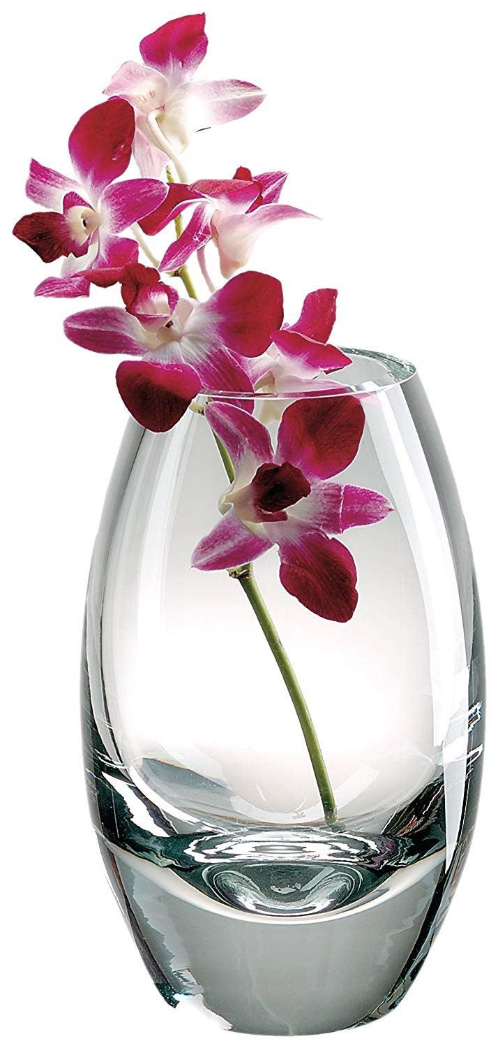 26 Lovable Marquis by Waterford Sheridan Flared 11 Inch Vase 2024 free download marquis by waterford sheridan flared 11 inch vase of amazon com badash crystal radiant 9 inch crystal vase home kitchen with 71 ywjwst3l sl1500