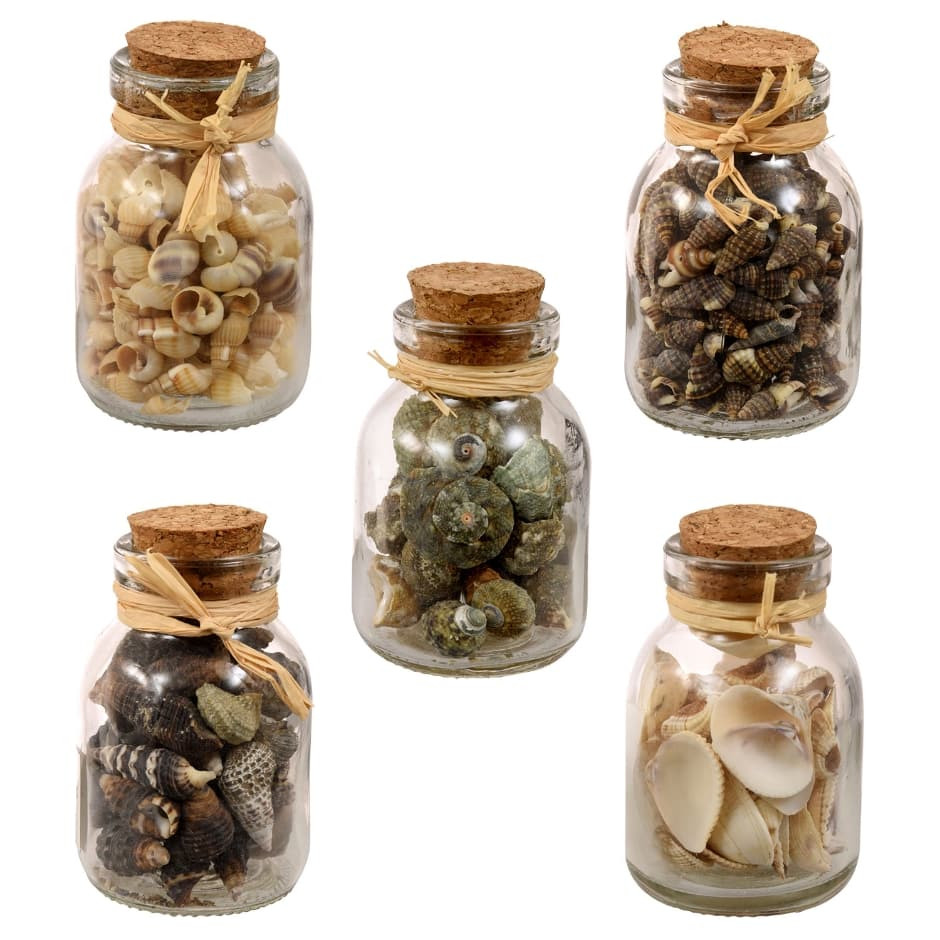 27 Awesome Mason Jar Picture Frame Vase 2024 free download mason jar picture frame vase of table decorations dollar tree inc within decorative seashells in glass jars 2 75 in