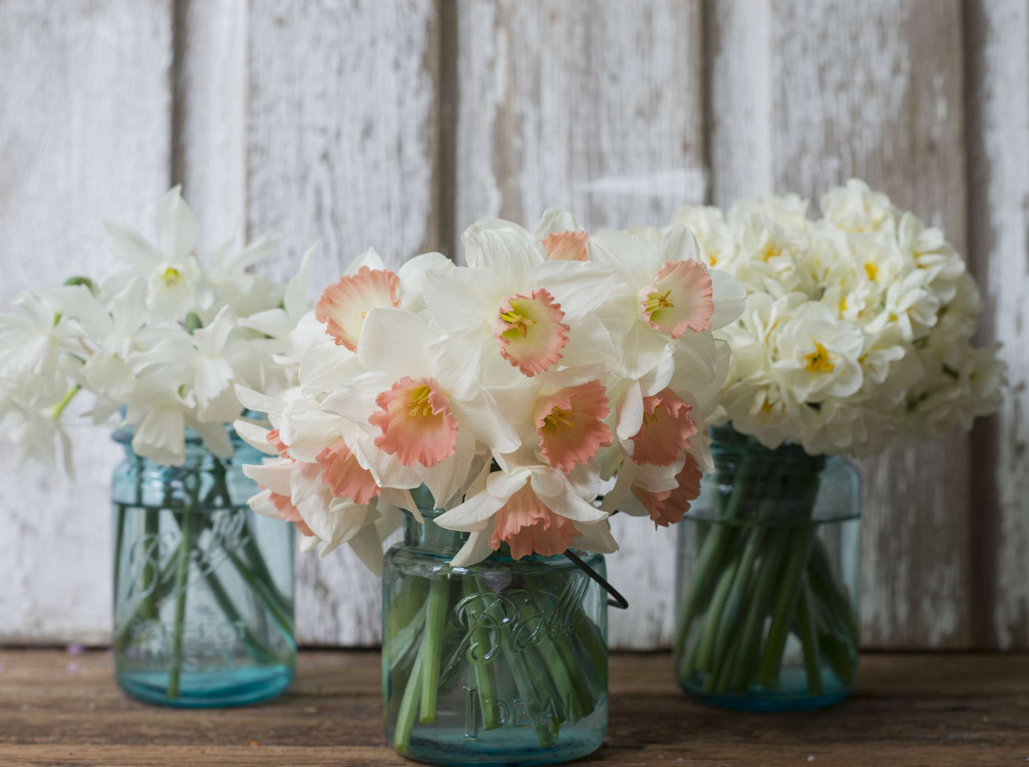 29 Unique Mason Jar Vases for Wedding 2023 free download mason jar vases for wedding of the best spring wedding flowers in daffodil bouquets