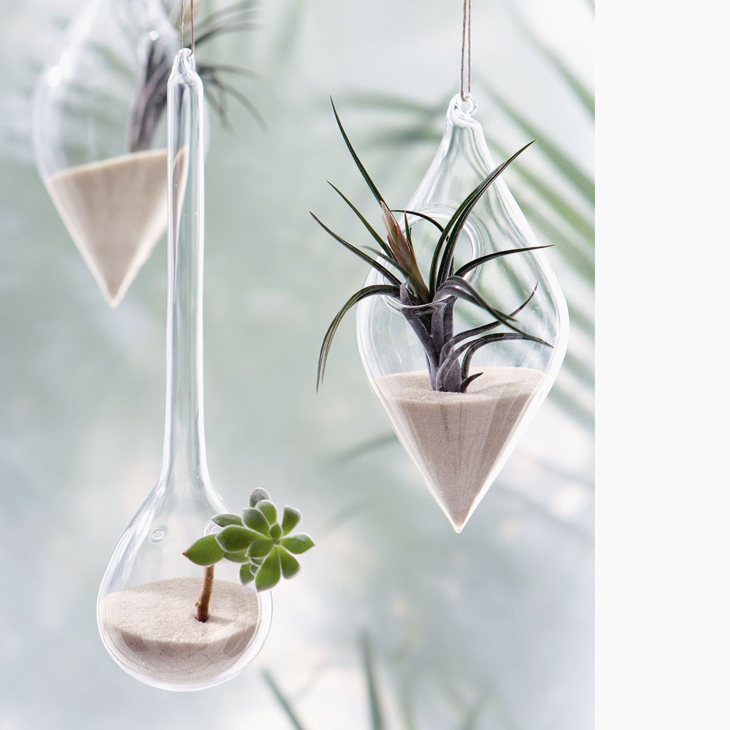 25 Lovable Mexican Glass Vases 2024 free download mexican glass vases of 25 air plant vase the weekly world pertaining to flower hanging air plant kit gorgeous a guide to tillandsia part