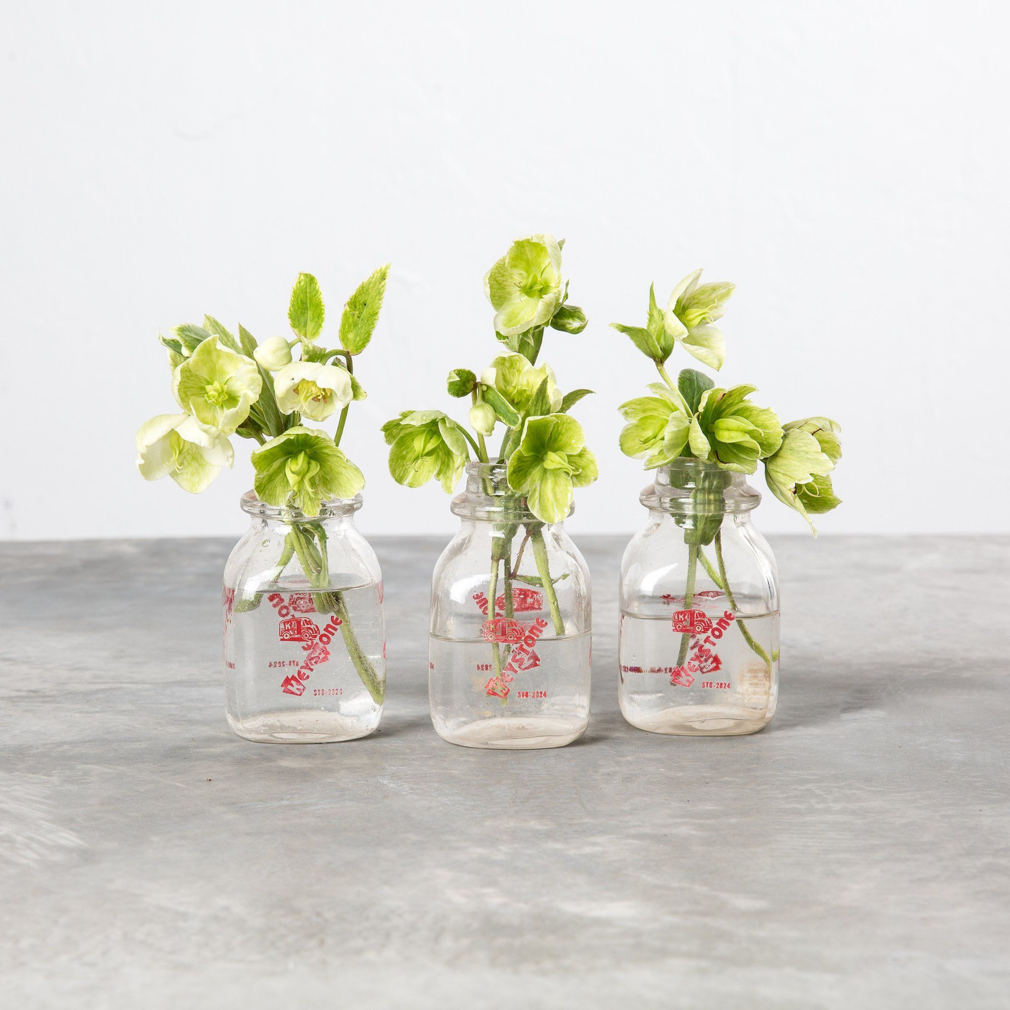 22 Stunning Milk Bottle Flower Vases 2024 free download milk bottle flower vases of hanging glass tube vase pertaining to half pint glass milk bottle