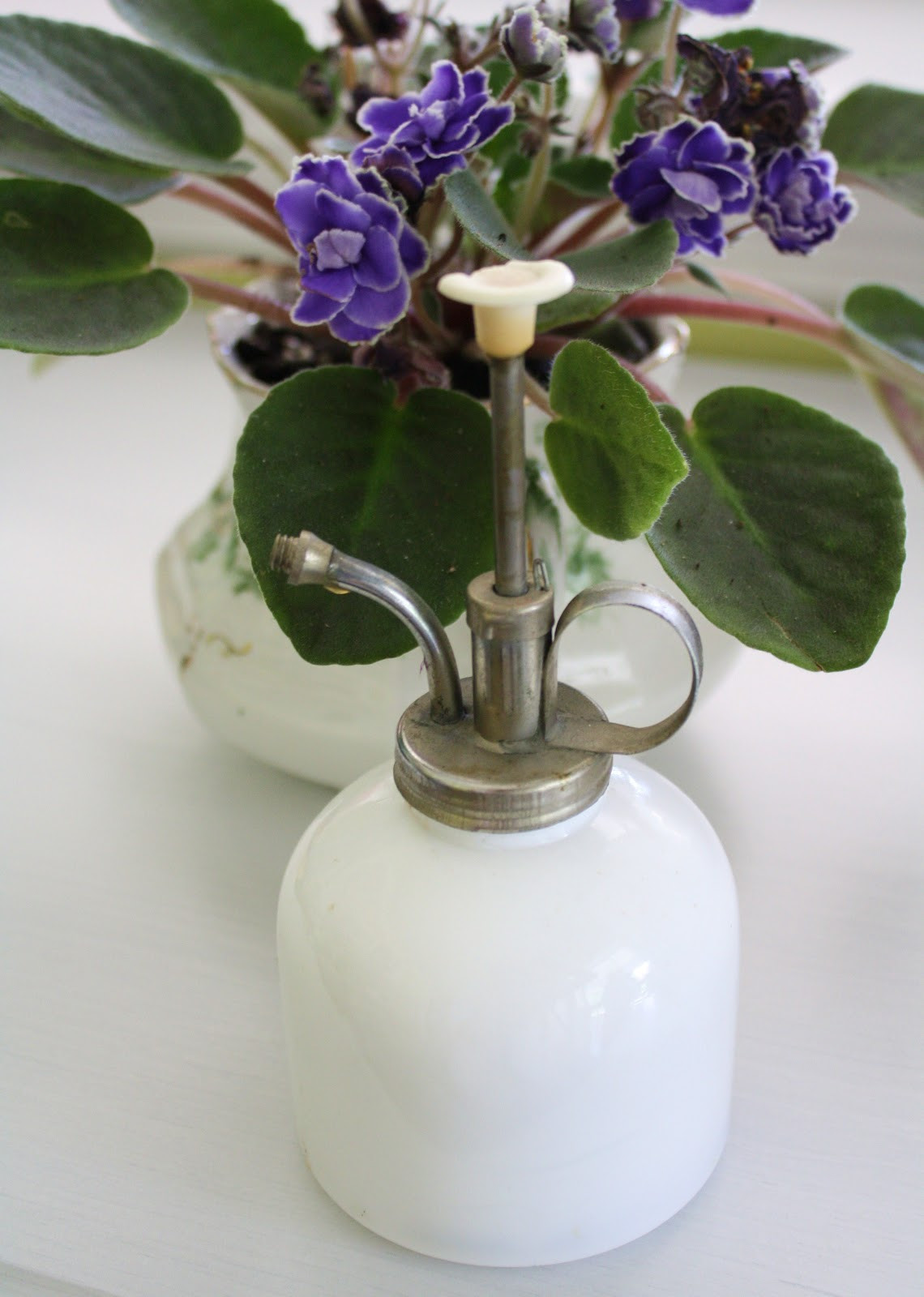 10 Wonderful Milk Jug Bud Vase 2023 free download milk jug bud vase of cant find substitution for tag blog retro revival retro revival with and then there is the vintage milk glass we use differently from their intended purpose after all i 
