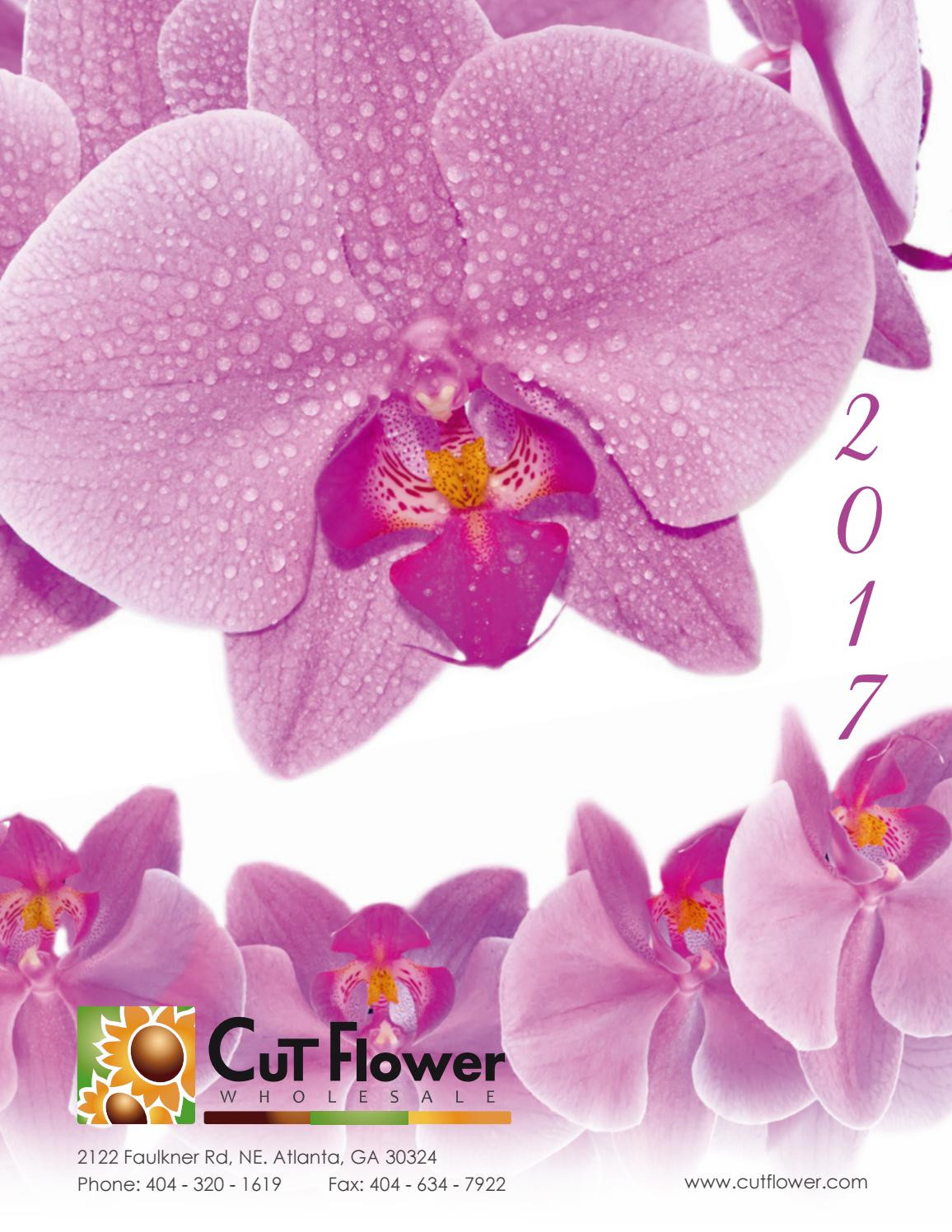 Mint Julep Vases wholesale Of 2017 Cut Flower wholesale Catalog by Cut Flower wholesale Inc issuu Inside Page 1