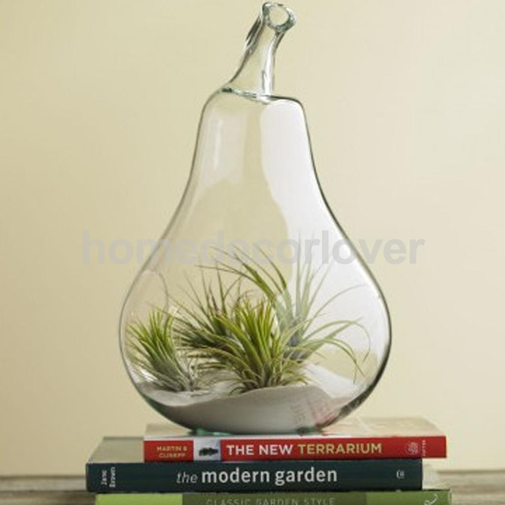 28 Trendy Modern Clear Glass Vases 2024 free download modern clear glass vases of flower plant hanging clear glass vase bottle pot wedding garden pear with aeproduct getsubject