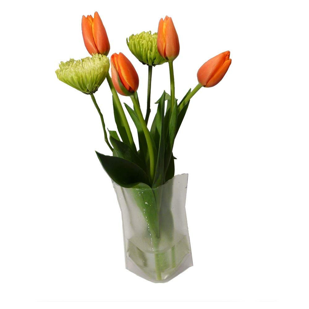 21 Popular Modgy Expandable Vase 2024 free download modgy expandable vase of amazon com wondervase travel collapsible flower vase med in amazon com wondervase travel collapsible flower vase med decorative vases grocery gourmet food