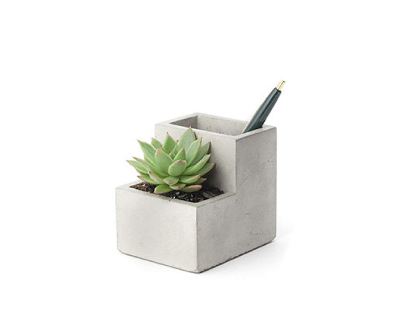 21 Popular Modgy Expandable Vase 2024 free download modgy expandable vase of kikkerland concrete desktop planter large pl02 l amazon ca throughout kikkerland concrete desktop planter large pl02 l amazon ca office products