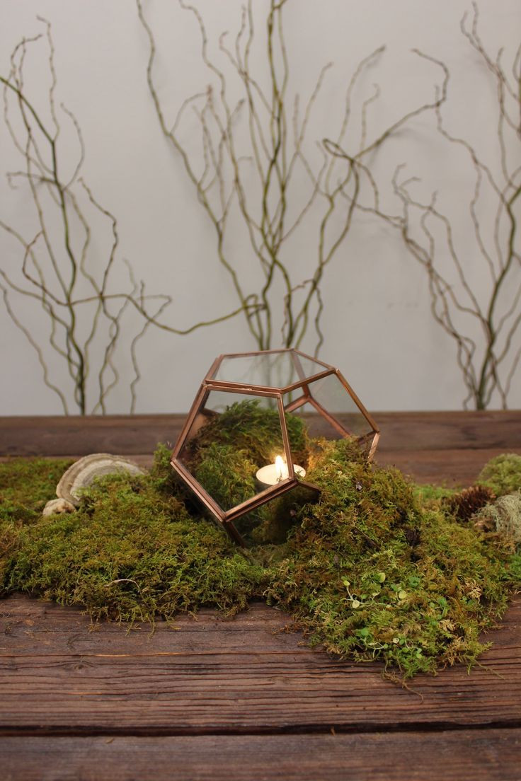 25 Amazing Moss Vase Filler 2024 free download moss vase filler of 24 best modern centerpieces for bday celebration images on pinterest within a little patch of moss with a silver geo something and votive