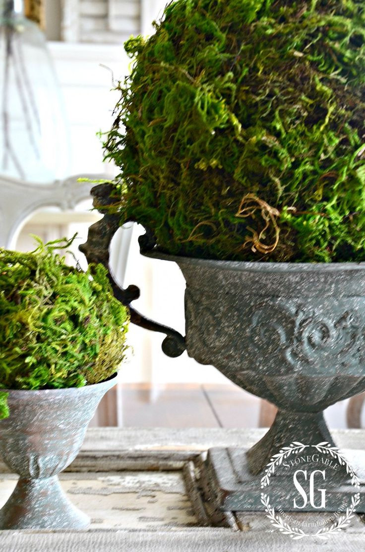 25 Amazing Moss Vase Filler 2024 free download moss vase filler of 76 best a touch of moss images on pinterest flower arrangements with regard to textured moss ball diy