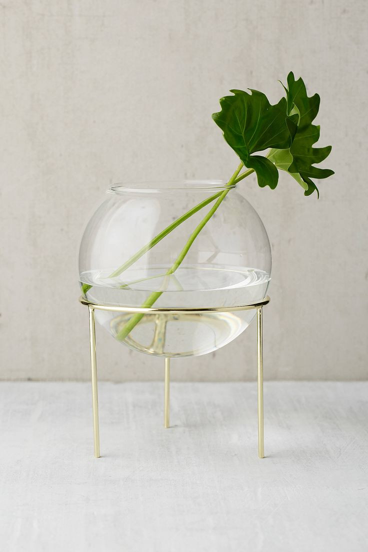 11 Stunning Most Expensive Vase In the World 2024 free download most expensive vase in the world of 193 best kill liz living images on pinterest white carpet timber with ida glass globe planter tripod stand