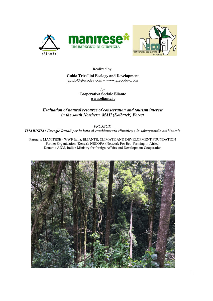 14 Amazing Natural Wood Bark Vases 2024 free download natural wood bark vases of pdf biodiversity assessment of koibatek forest kenya pertaining to pdf biodiversity assessment of koibatek forest kenya participatory mapping capacity building and