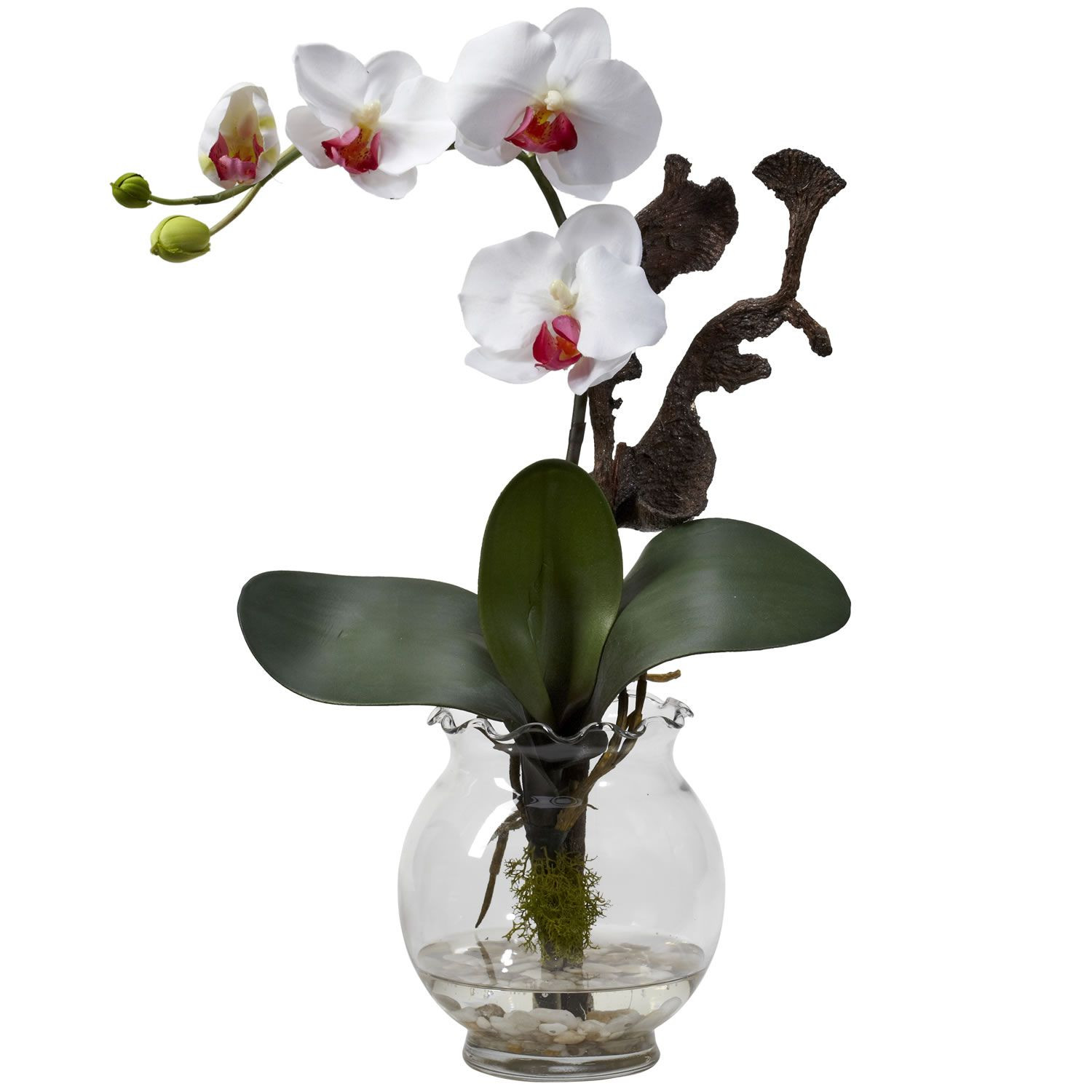 29 Cute orchid Arrangements In Glass Vases 2023 free download orchid arrangements in glass vases of attention mini phalaenopsis w fluted vase silk flower arrangement regarding attention mini phalaenopsis w fluted vase silk flower arrangement white