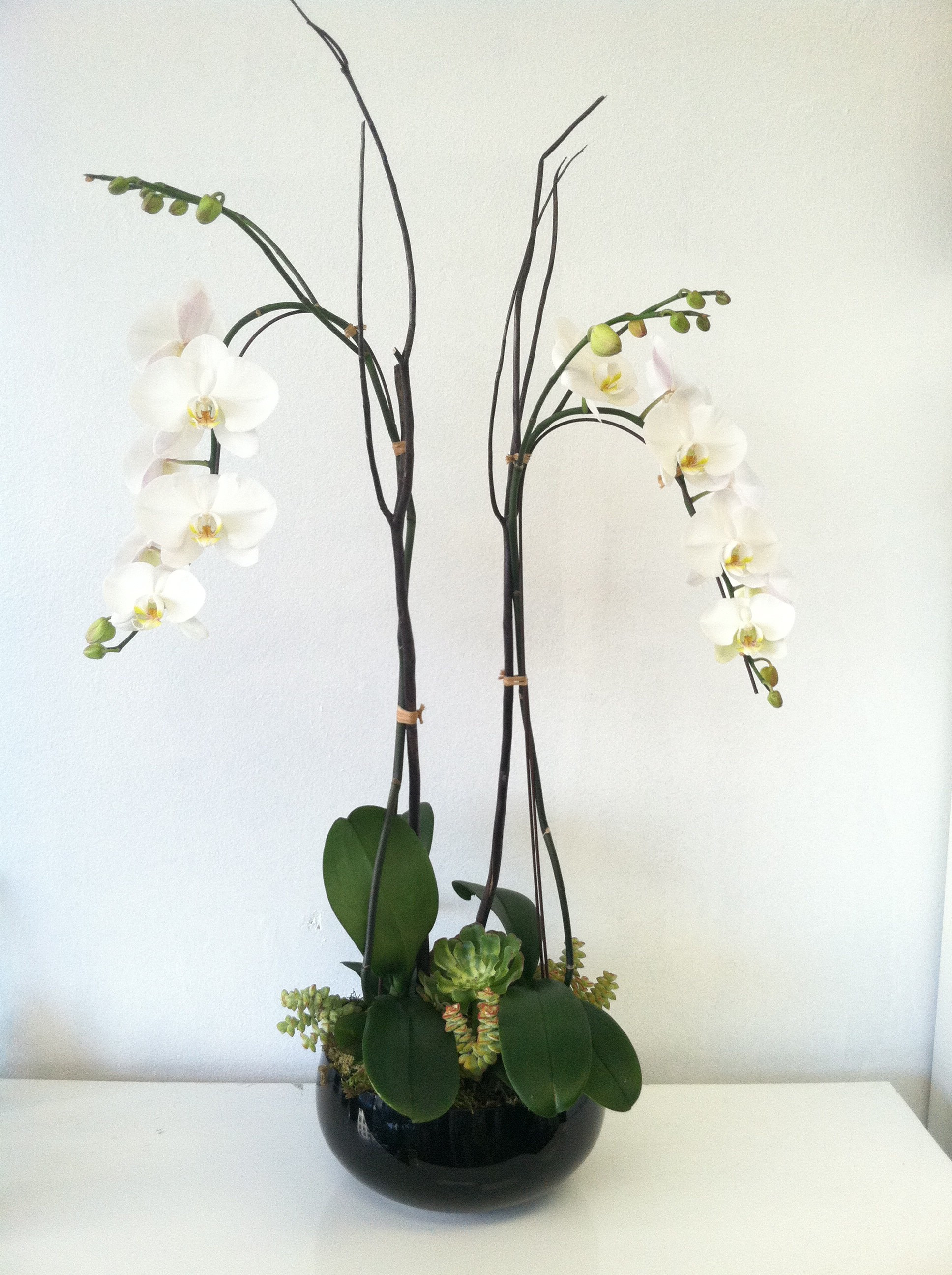 23 Awesome orchid Flower Arrangement Vase 2024 free download orchid flower arrangement vase of orchid arrangements in tall vases sevenstonesinc com with regard to two orchids in a vase mickleton nj bowkay