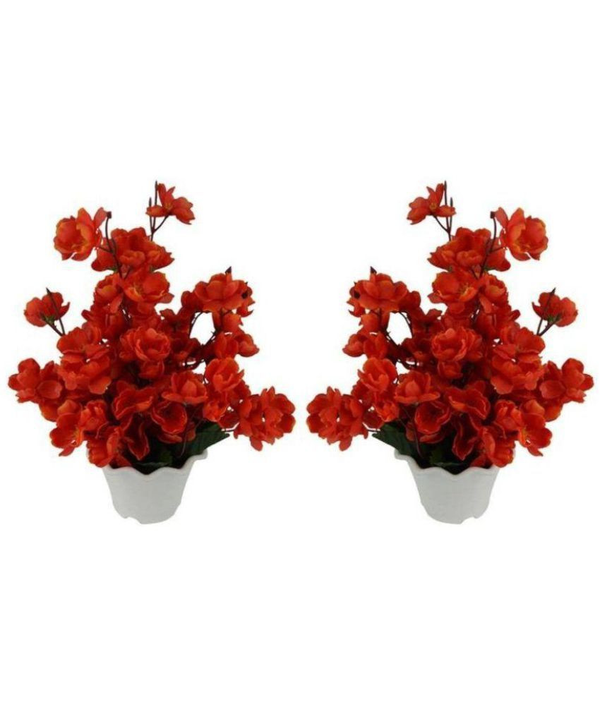 26 Nice orchid Vase Life 2024 free download orchid vase life of miro orchids flowers with pot red pack of 1 buy miro orchids pertaining to miro orchids flowers with pot red pack of 1