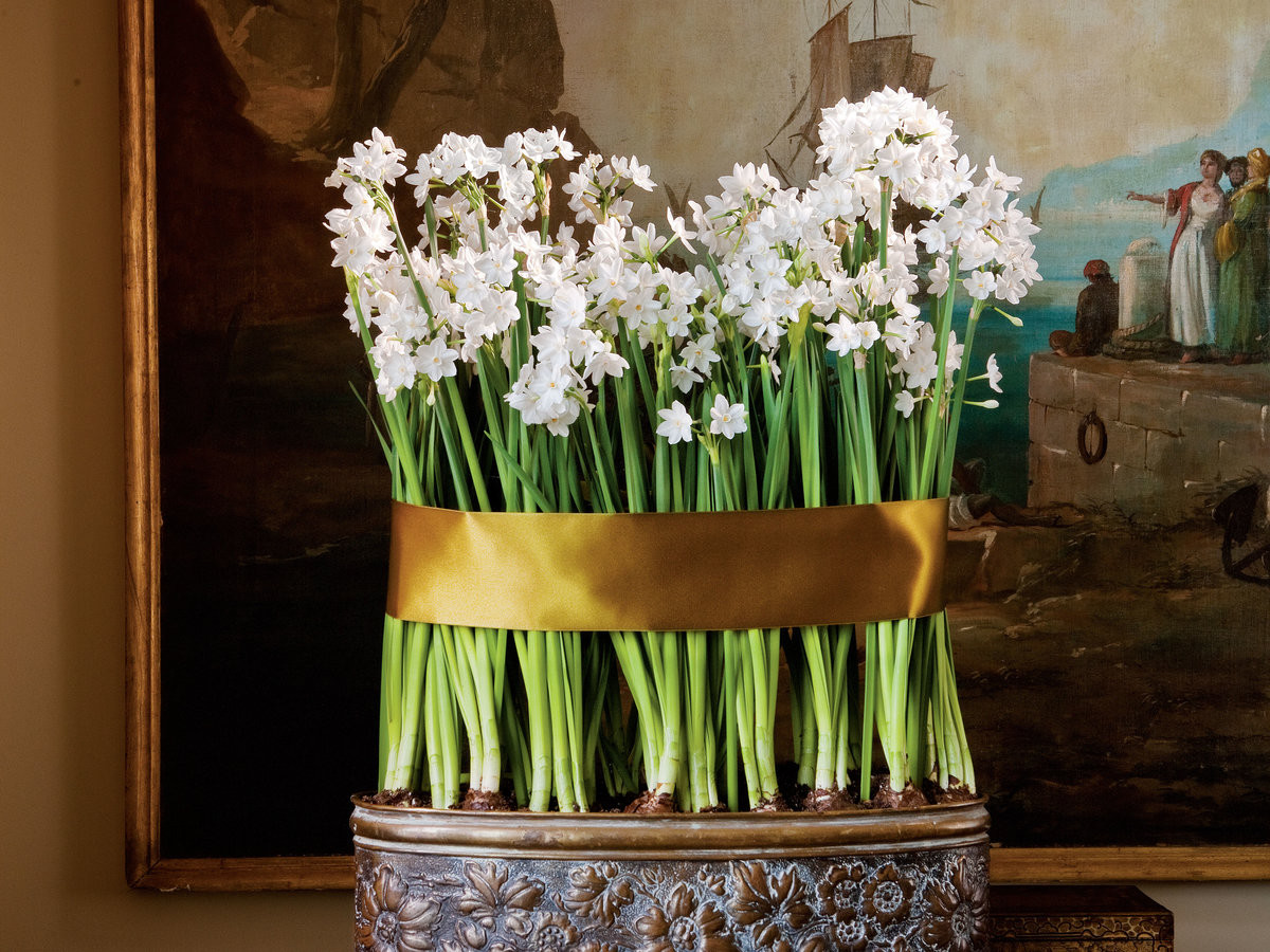 18 Fashionable Paperwhite Bulb Vase 2024 free download paperwhite bulb vase of guide to paperwhites forcing bulbs planting and tips southern for guide to paperwhites forcing bulbs planting and tips southern living