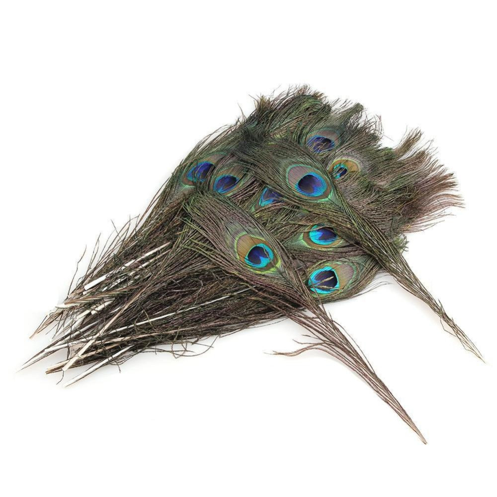 17 Recommended Peacock Feathers In Vase Ideas 2024 free download peacock feathers in vase ideas of 100 pcs pack beautiful natural peacock feathers eyes for diy clothes pertaining to 100 pcs pack beautiful natural peacock feathers eyes for diy clothes deco
