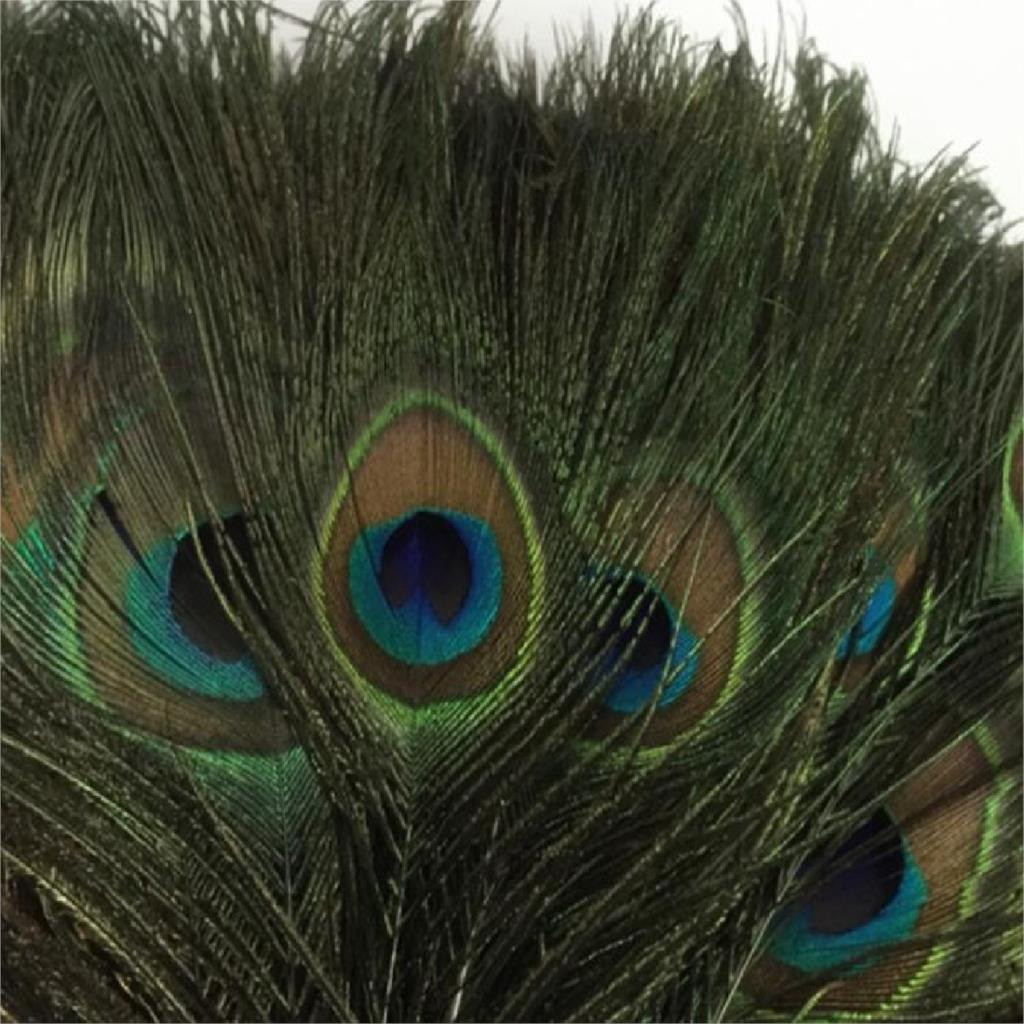 21 Lovable Peacock Feathers In Vase 2024 free download peacock feathers in vase of newest 10pcs natural peacock feather 25 30cm clothing decoration throughout newest 10pcs natural peacock feather 25 30cm clothing decoration plumage fashion craft