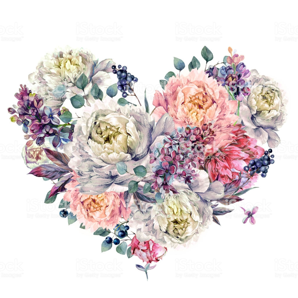 26 Recommended Peonies Vase Arrangement 2024 free download peonies vase arrangement of watercolor heart made of peonies and lilac stock vector art more throughout watercolor heart made of peonies and lilac royalty free watercolor heart made of peoni